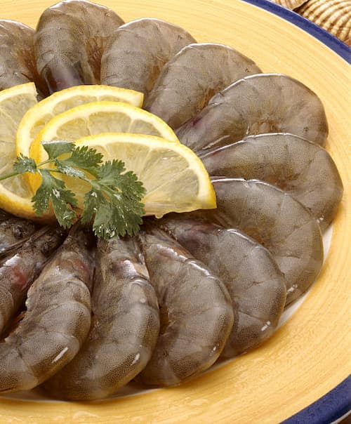 خرید عمده میگو دریایی سایز 30